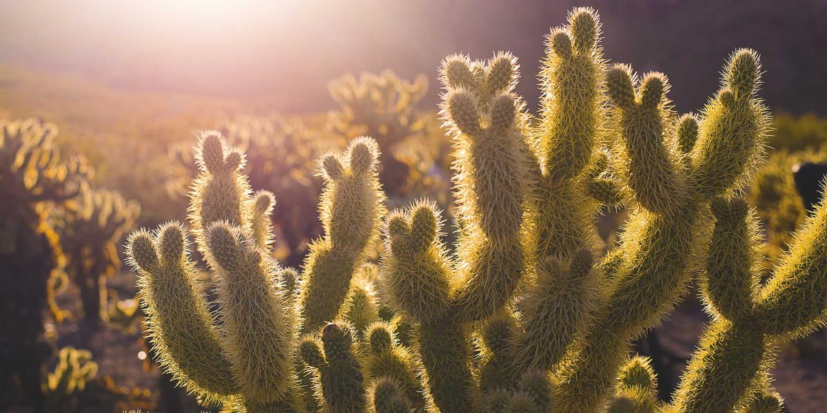 métaprogrammation en Ruby