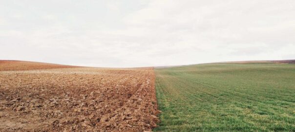 Hanami framework alternatif Rails